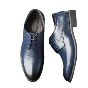 Sernano Genuine Leather Oxford Shoe